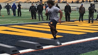 Bears Shine in Soggy Pro Day 