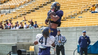Cal Football Fall Camp Preview - The Wide Receivers