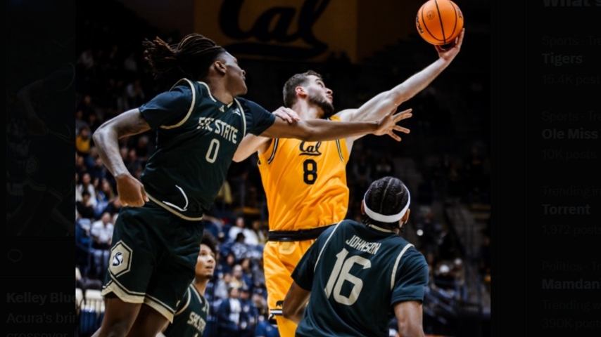 Bears Sting Hornets, 91-67