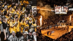 Bears Look To Pack The Haas With Gold Out Saturday Vs Stanford